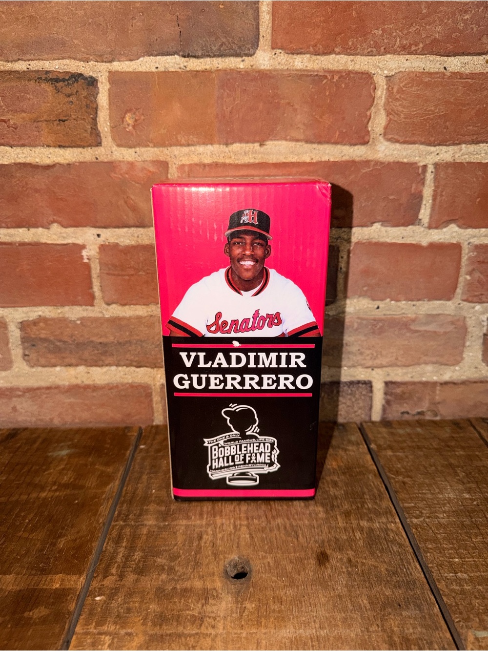 Vladimir Guerrero Bobblehead Box - Pink and Black Harrisburg Pa Hall of Fame